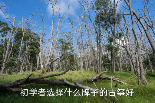 初学者选择什么牌子的古筝好