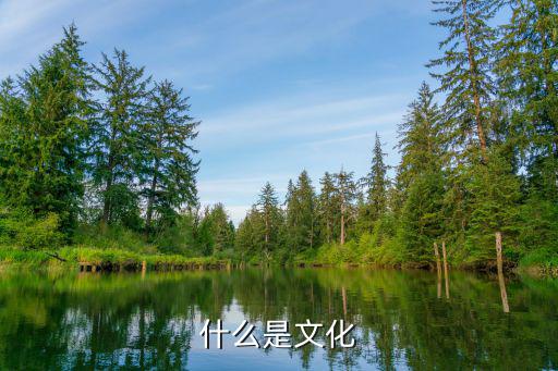 什么是文化