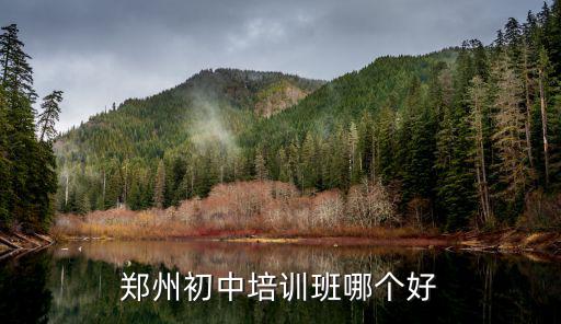 郑州哪里培训语文好,郑州初中培训班哪个好