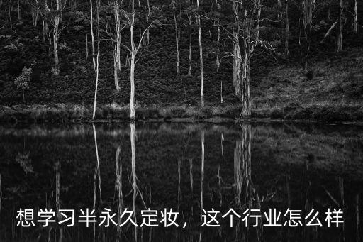 想学习半永久定妆，这个行业怎么样