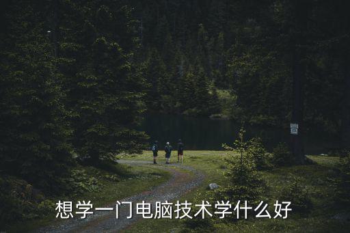 学电脑先学什么好,想学一门电脑技术学什么好