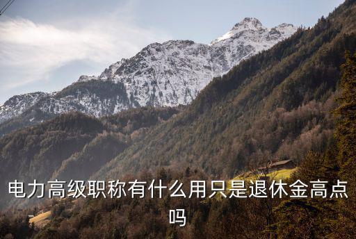 电力高级职称有什么用只是退休金高点吗