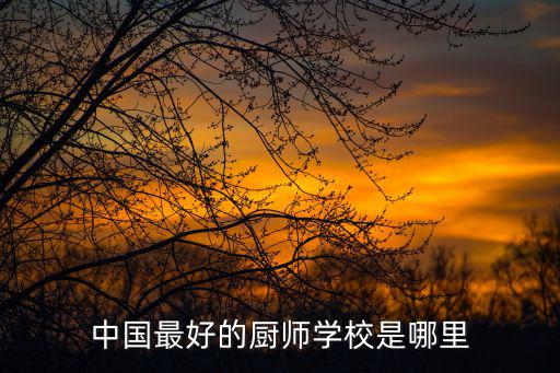 中国最好的厨师学校是哪里