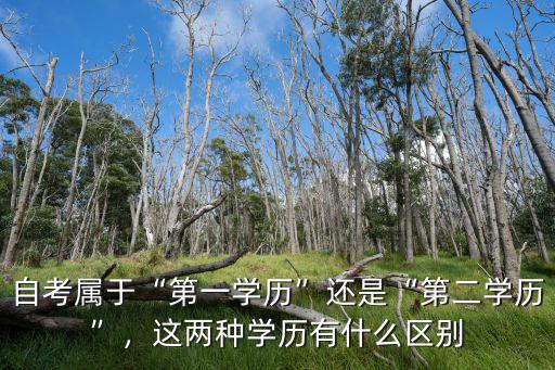 自考属于“第一学历”还是“第二学历”，这两种学历有什么区别