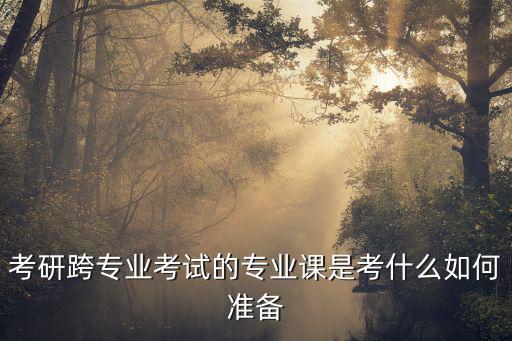 专业课考试是什么意思,考研专业课统考