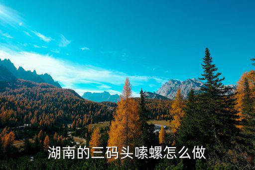 湖南的三码头嗦螺怎么做
