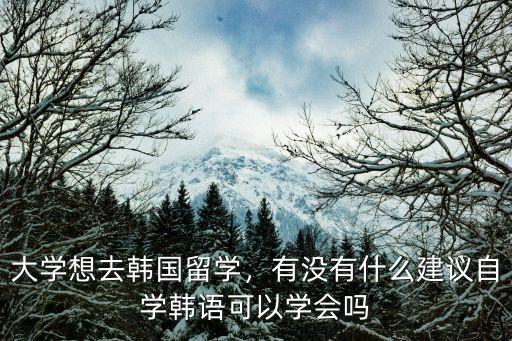 大学想去韩国留学，有没有什么建议自学韩语可以学会吗