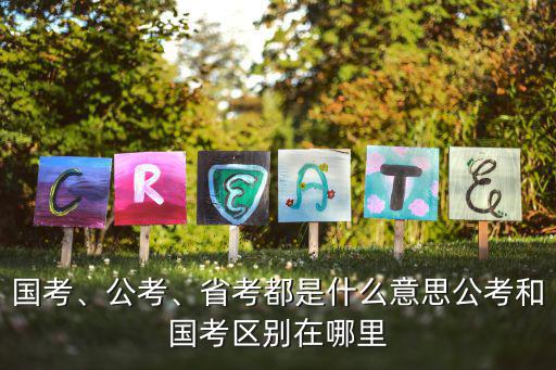 网校公考是什么意思,公考和国考区别在哪里