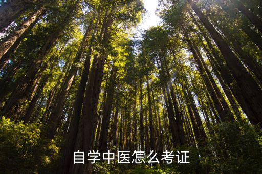 怎么考中医,自学中医怎么考证