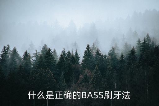 BASS刷牙法有什么特点,吉他和贝斯有什么区别