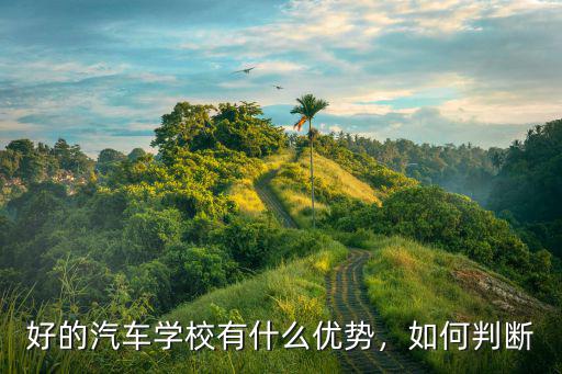 好的汽车学校有什么优势，如何判断