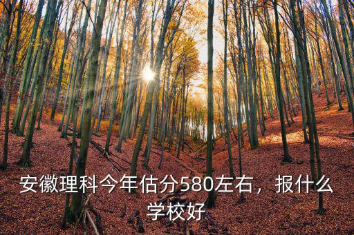 安徽理科今年估分580左右，报什么学校好