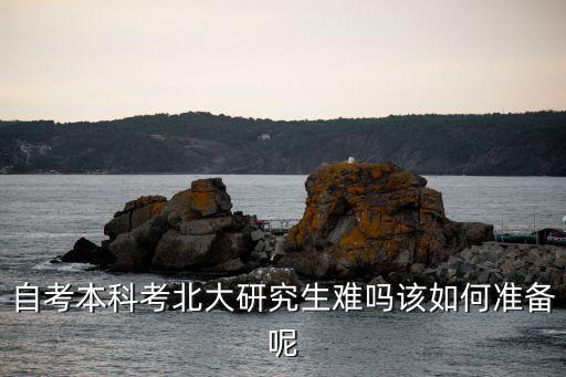自考本科考北大研究生难吗该如何准备呢