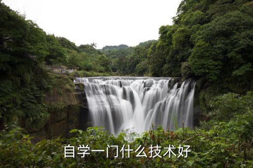 自学一门什么技术好