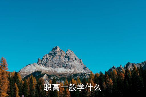 职高一般学什么
