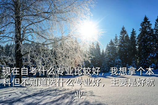 现在自考什么专业比较好，我想拿个本科但不知道选什么专业好，主要是好就业
