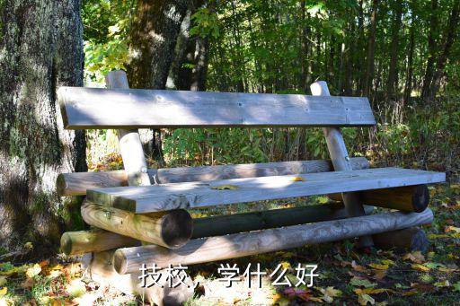 技校，学什么好