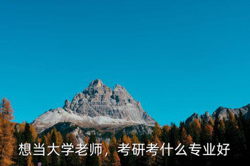 想当大学老师，考研考什么专业好