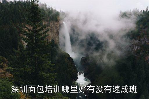 深圳面包培训哪里好有没有速成班