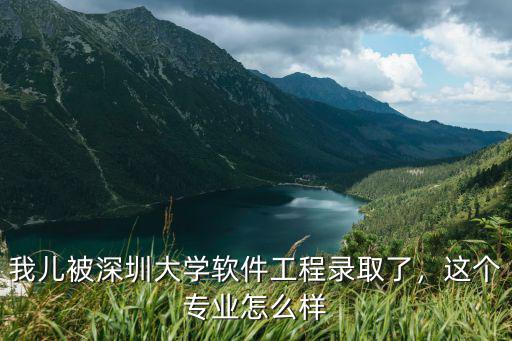 我儿被深圳大学软件工程录取了，这个专业怎么样