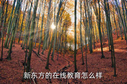 新东方的在线教育怎么样