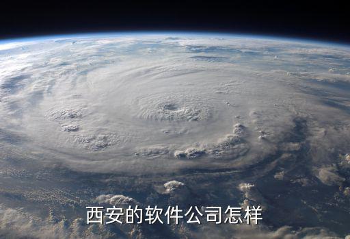 西安的软件公司怎样