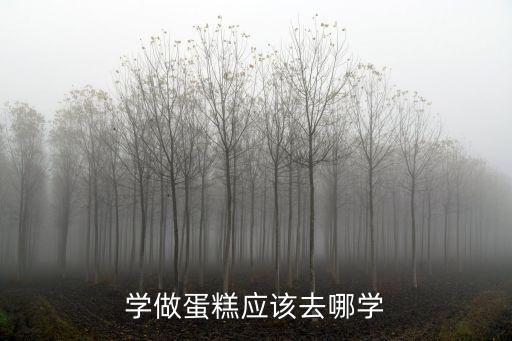 学做蛋糕应该去哪学