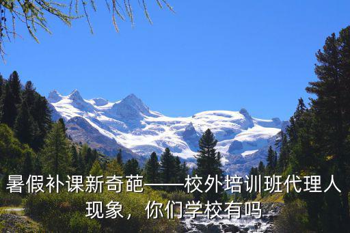暑假补课新奇葩――校外培训班代理人现象，你们学校有吗