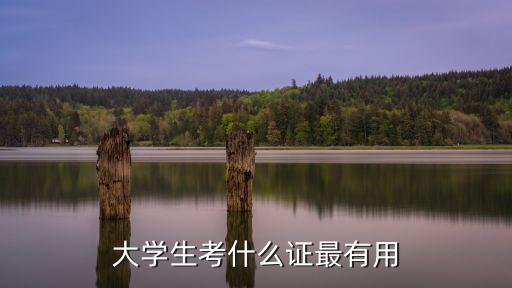 大学生考什么证最有用