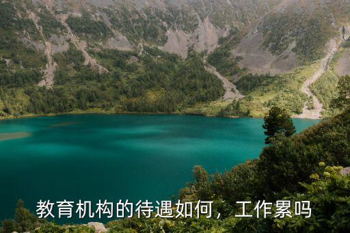 教育机构的待遇如何，工作累吗