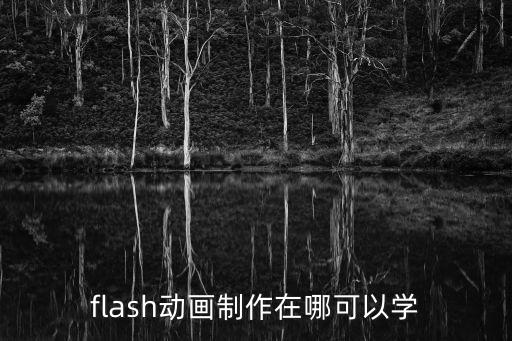 制作动漫在哪里学,初中毕业学动漫设计