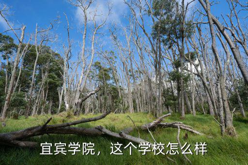 宜宾恒企教育怎么样,恒企教育正规吗