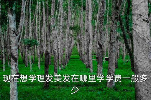 丰润哪里学美发,零基础学美发