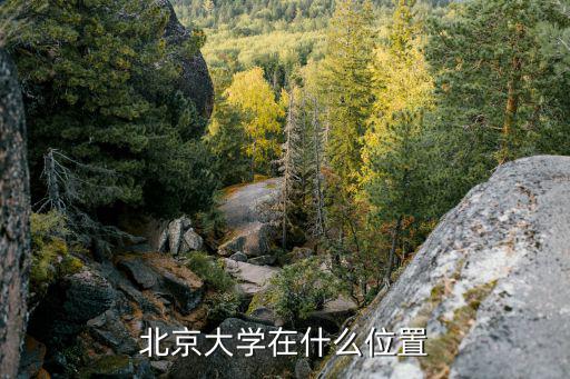 北京大学在什么位置