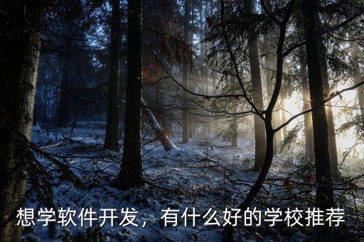 好的软件培训学校哪里有,到哪里培训好