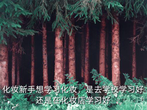 学化妆哪里学比较好,学化妆哪个学校比较好