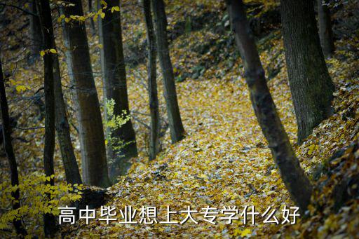 高中毕业想上大专学什么好