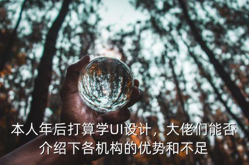 本人年后打算学UI设计，大佬们能否介绍下各机构的优势和不足