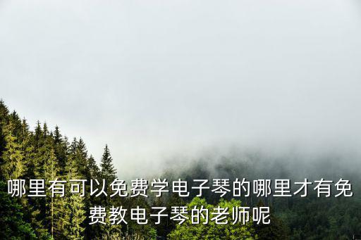 泰安哪里学电子琴,电子琴学了有什么作用