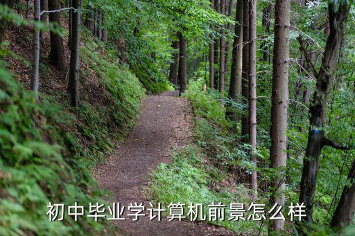 初中毕业学计算机前景怎么样
