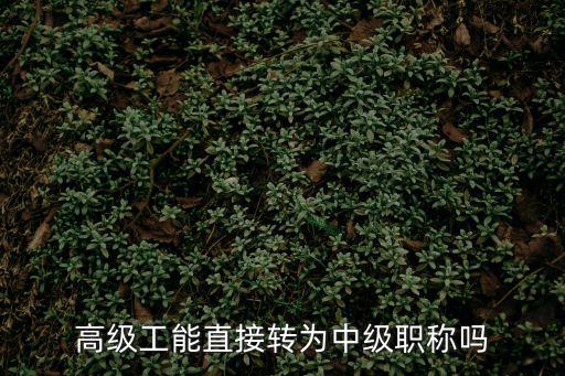 高级工是什么职称,高级职称和高级工有什么区别