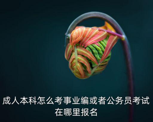 成人本科怎么考事业编或者公务员考试在哪里报名
