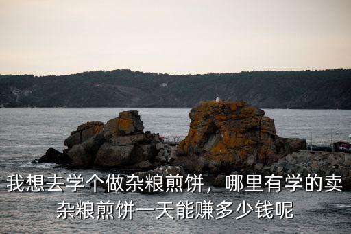 我想去学个做杂粮煎饼，哪里有学的卖杂粮煎饼一天能赚多少钱呢