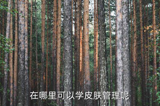 在哪里可以学皮肤管理呢