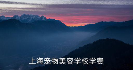 上海宠物美容学校学费