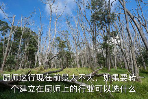 厨师这行现在前景大不大，如果要转一个建立在厨师上的行业可以选什么