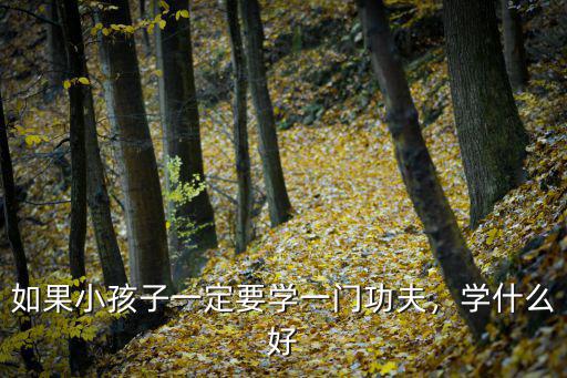 如果小孩子一定要学一门功夫，学什么好