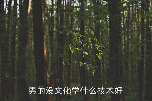 男的没文化学什么技术好