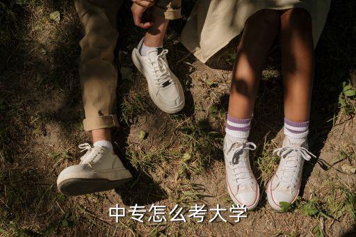 中专怎么考大学