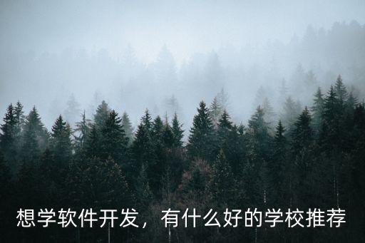 在什么学校学软件开发,想学软件开发